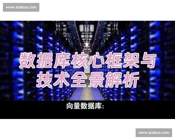 狂热vs风暴直播全景解析赛事焦点与观赛热潮全面升级