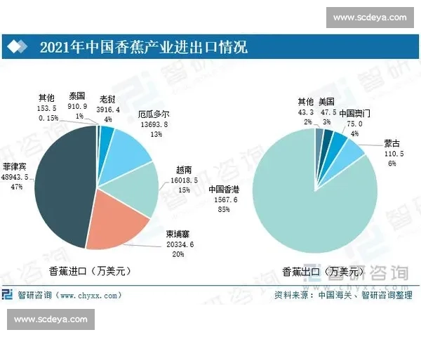男足vs菲律宾赛前全解析:战术对决与胜负关键点全景展望 男足vs菲律宾赛前全解析:战术对决与胜负关键点全景展望